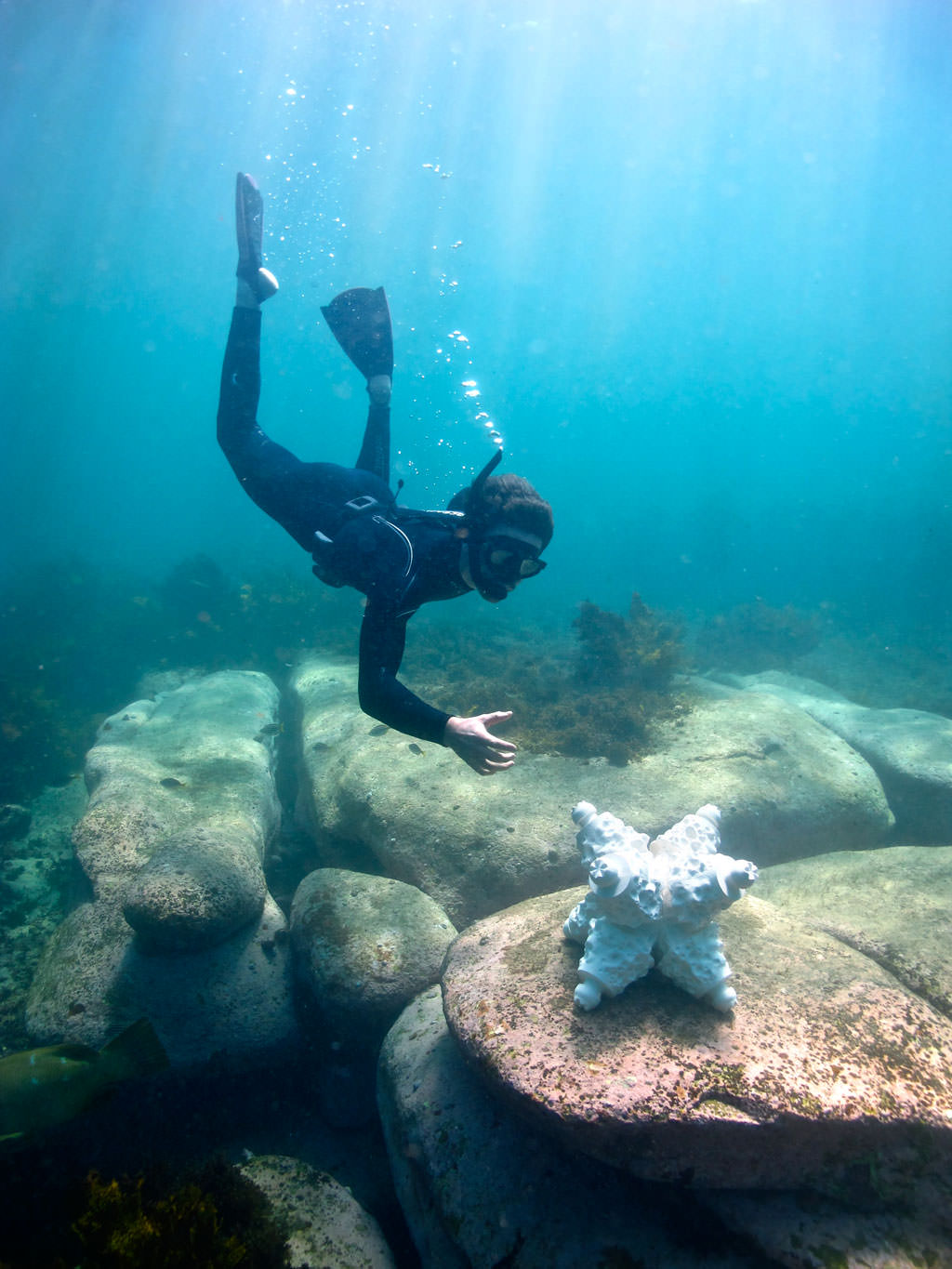 Modular Artificial Reef Structure (MARS)