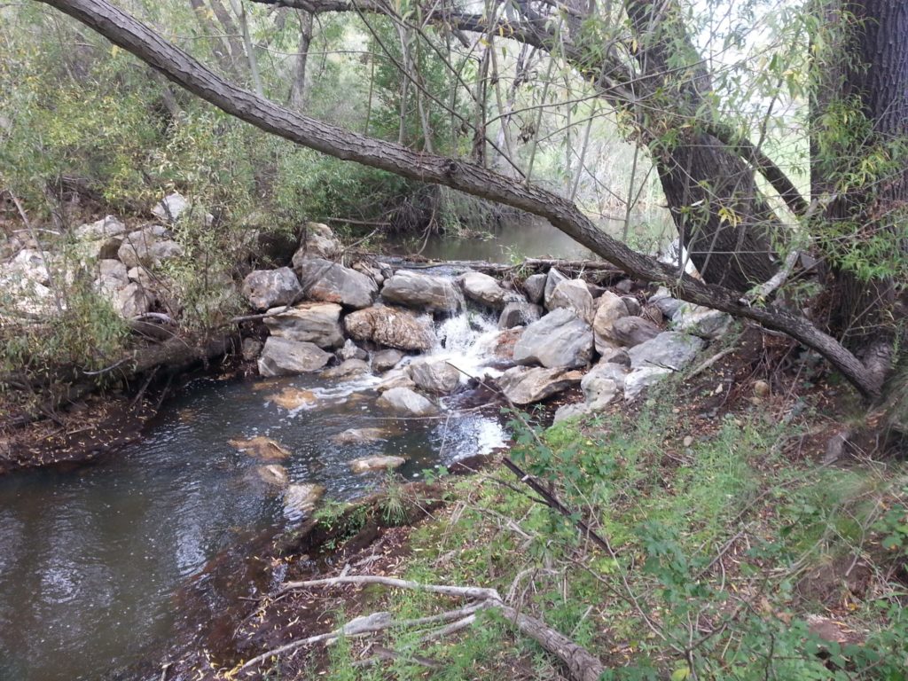 Leaky weir Everyday Futures
