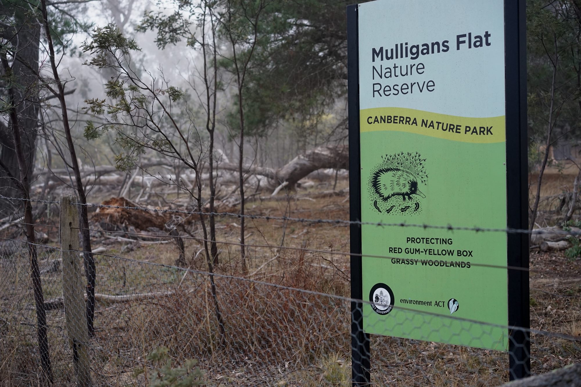 Mulligans Flat Nature Reserve