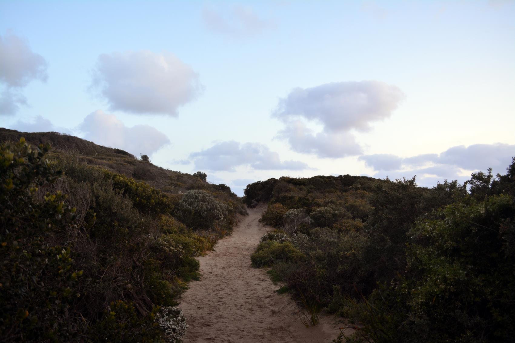 Trail and habitat in the Bridgewater Bay area