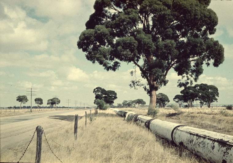 The Goldfields Pipeline near Kellerberrin, 1961