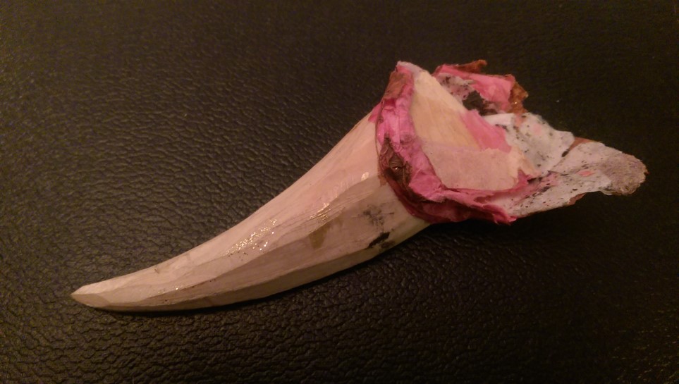 Kaz's object: scorched tooth from the Leafy Sea Dragon