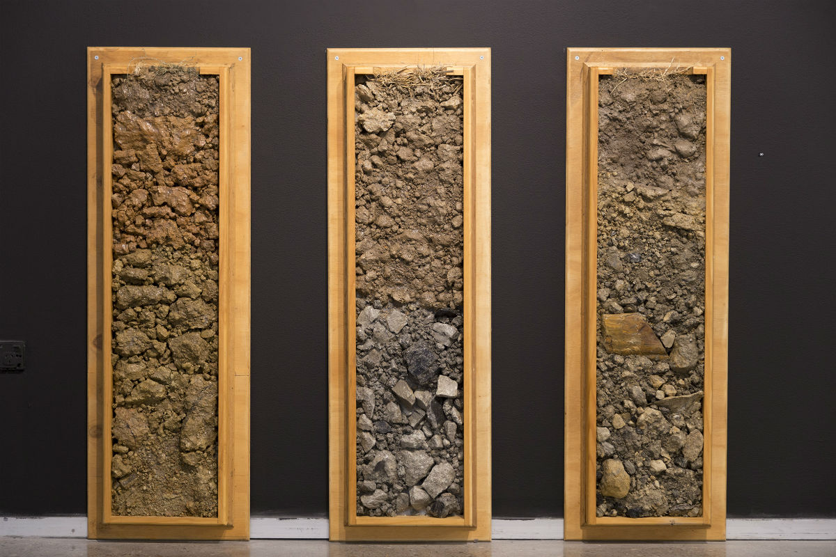 The three soils profiles show one pre-mining soil and two post mining, reconstructed soils from a single mine in the lower Hunter Valley.