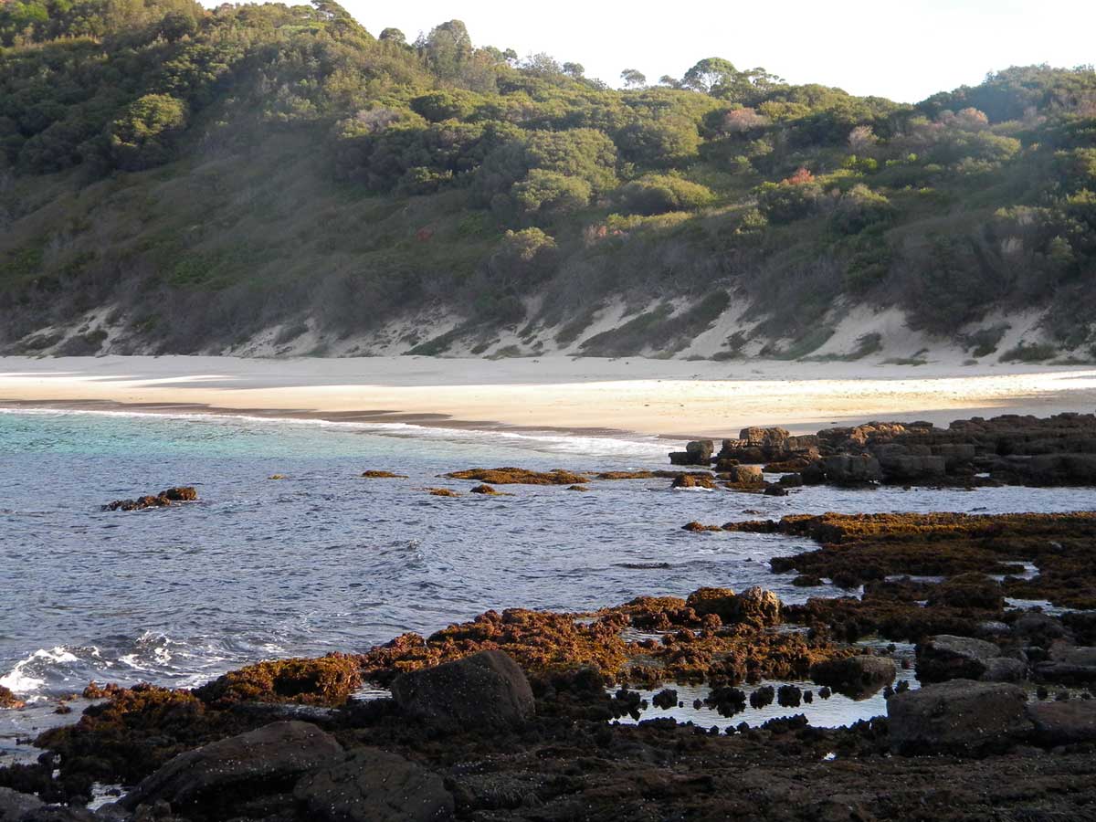 Fishermans Bay, where Michael beachcombs for washed-up objects