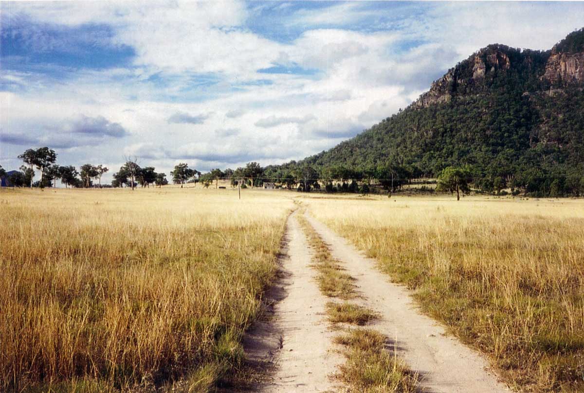"Binalong" paddock before the regeneration work in 1994