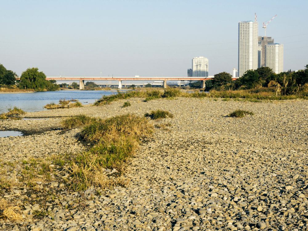 Tama River, Tokyo