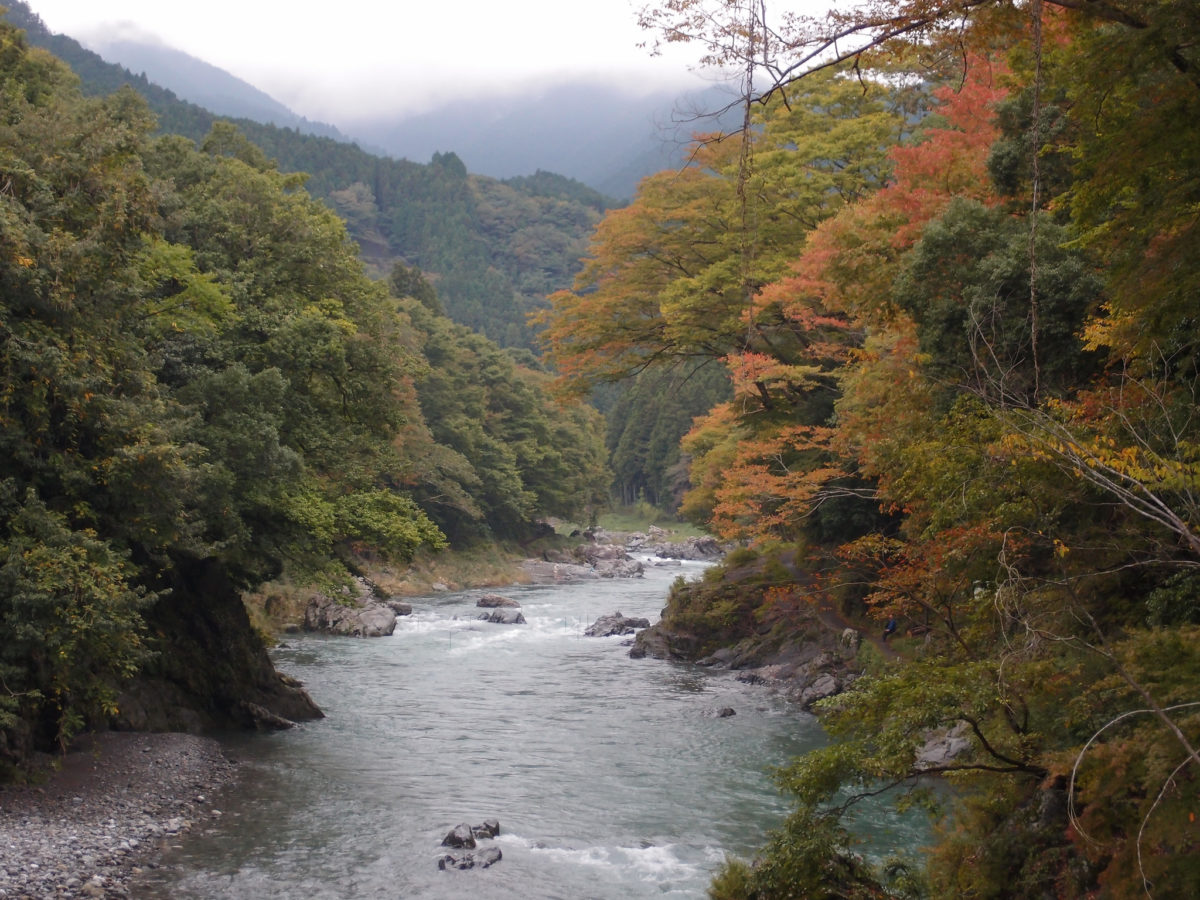 Tama River in Mitake Valley 